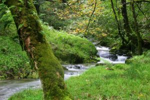 September flowing River