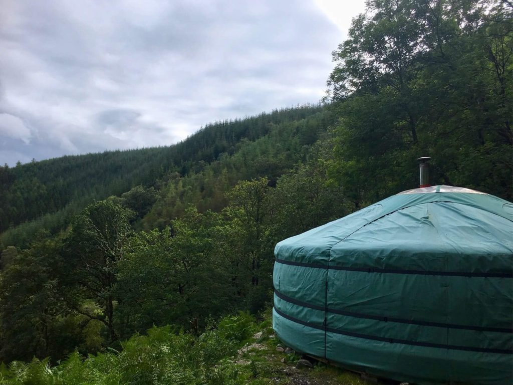 Why Forest Retreats Are Good for Your Mental Wellbeing
